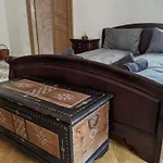 Ultra-central In The Loffler Palace Daire Temeşvar