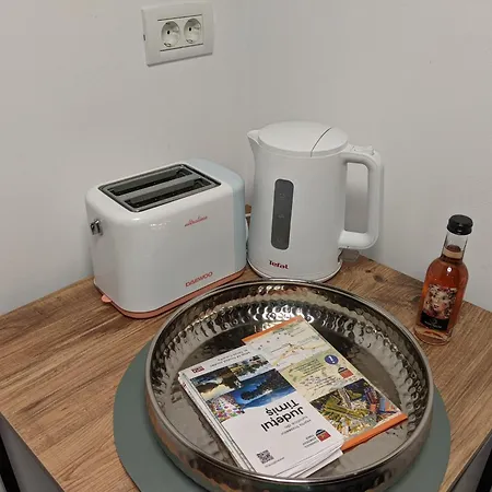 Ultra-central In The Loffler Palace * Timişoara