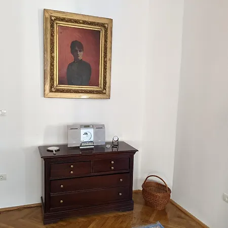 Ultra-central In The Loffler Palace Appartement