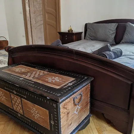 Ultra-central In The Loffler Palace Appartement Timişoara