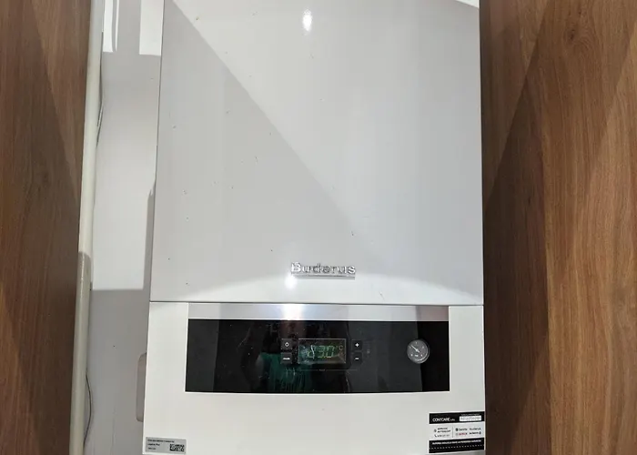 Ultra-central In The Loffler Palace דירה טימישוארה