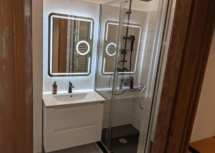 דירה Ultra-central In The Loffler Palace טימישוארה