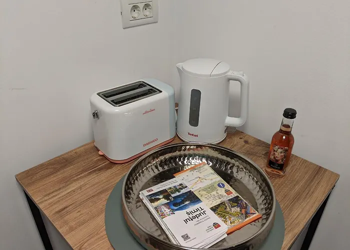 Ultra-central In The Loffler Palace * 티미쇼아라