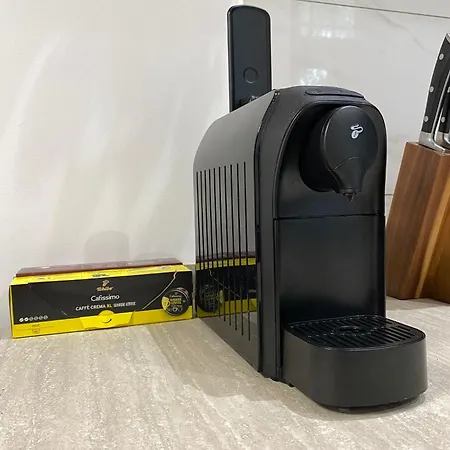 Ultra-central In The Loffler Palace * 蒂米什瓦拉