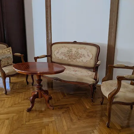 Ultra-central In The Loffler Palace * 蒂米什瓦拉