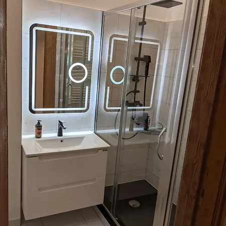 公寓 Ultra-central In The Loffler Palace 蒂米什瓦拉