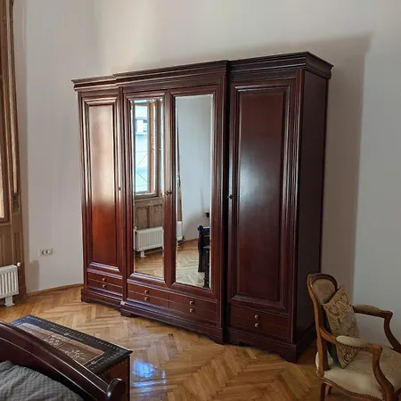 公寓 Ultra-central In The Loffler Palace 蒂米什瓦拉